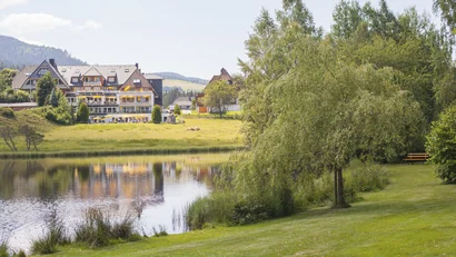 Hotel am See mit grüner Wiese und Bäumen an einem sonnigen Tag