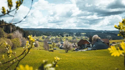 Landschaft mit grünen Wiesen, Häusern und bewaldeten Hügeln unter bewölktem Himmel