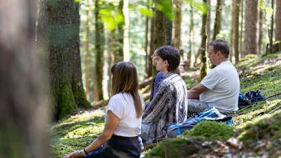 Vier Personen sitzen im Wald auf Moos und meditieren entspannt