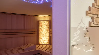 Moderner Wellness-Sauna-Raum mit Beleuchtung und Holzbank