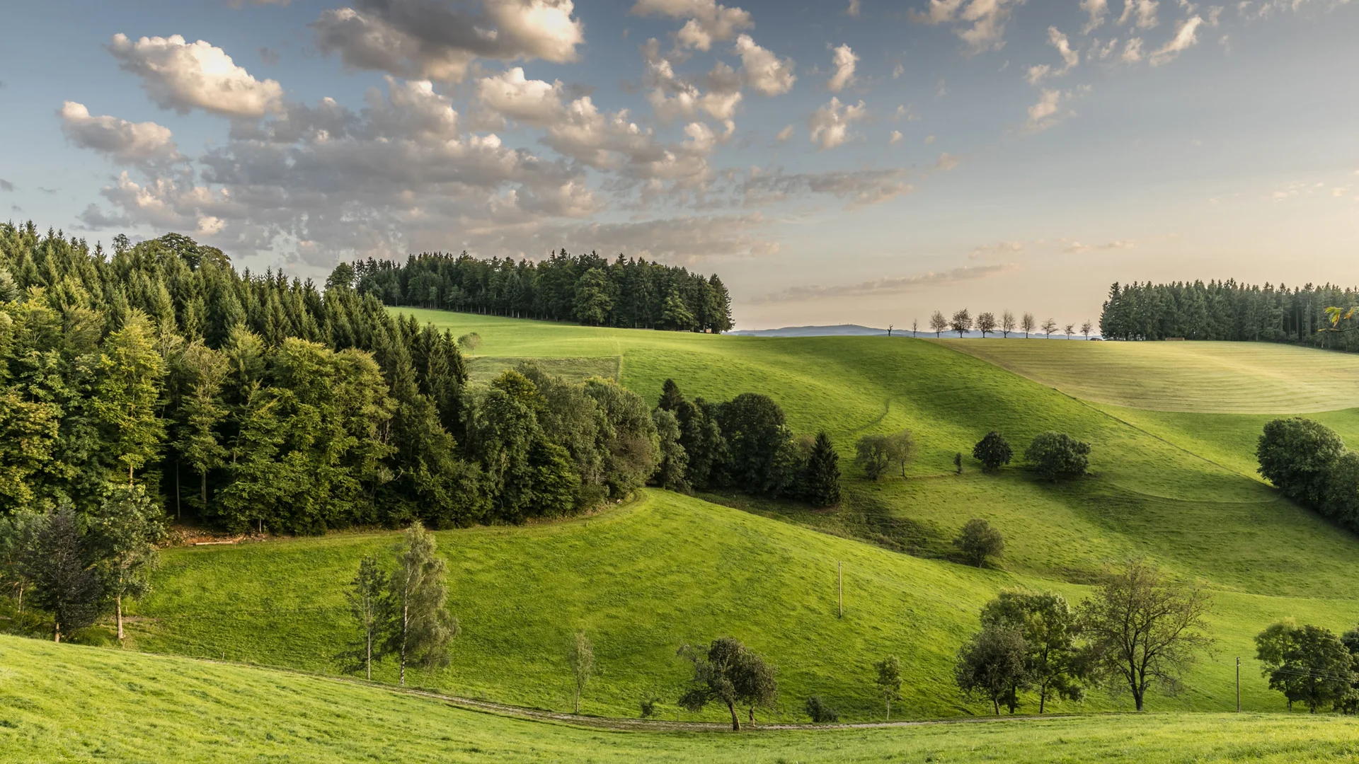 Grüne Hügellandschaft mit Bäumen und wolkigem Himmel bei Sonnenuntergang