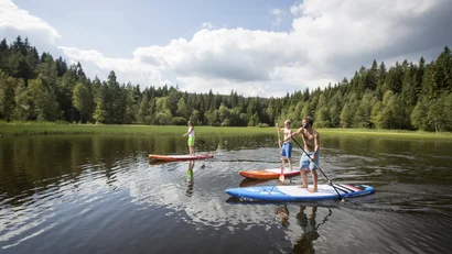 Drei Personen beim Stand-up-Paddeln auf einem See umgeben von Wald
